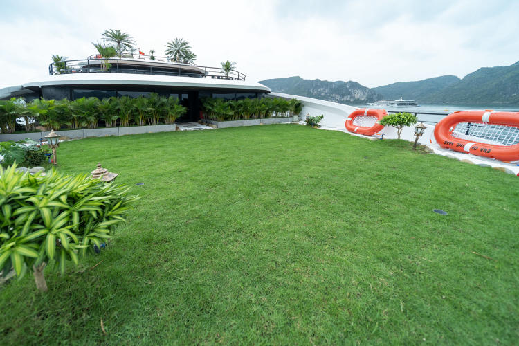 Du thuyền Celina of the Sea Cruise 6 sao vịnh Lan Hạ 2N1Đ