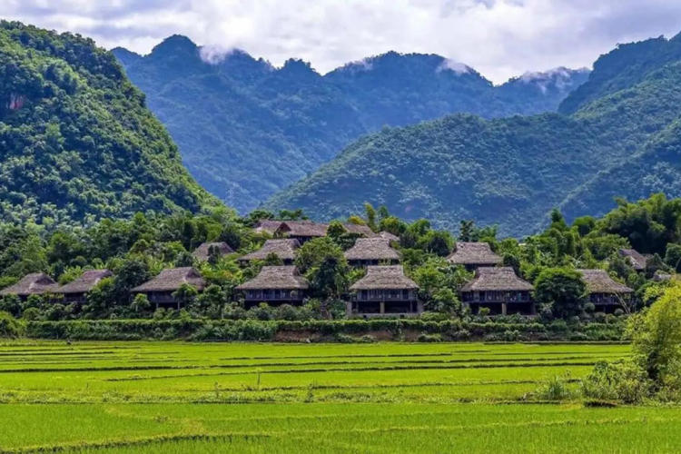 Tour Du Lịch Tây Bắc: Mộc Châu - Điện Biên - Sapa 5 Ngày 4 Đêm