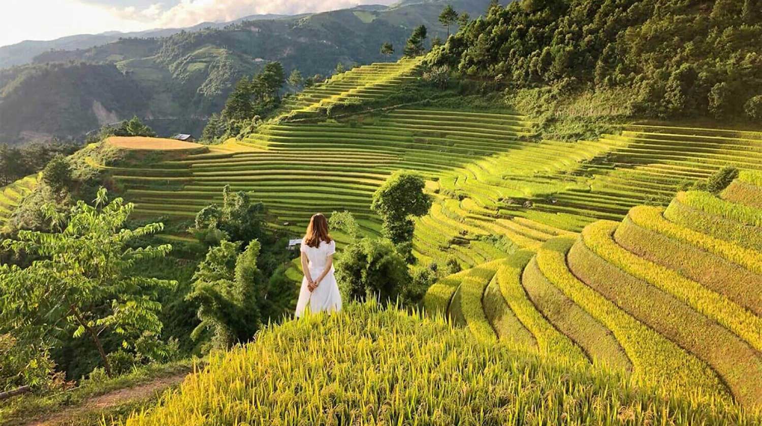 Tour Ngắm Lúa: Sài Gòn - Hà Nội - Mù Cang Chải - Ninh Bình - Hạ Long 6N5Đ