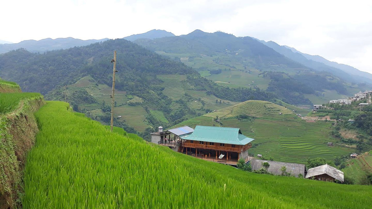 Tour Ngắm Lúa: Sài Gòn - Hà Nội - Mù Cang Chải - Sapa 5 ngày 4 đêm
