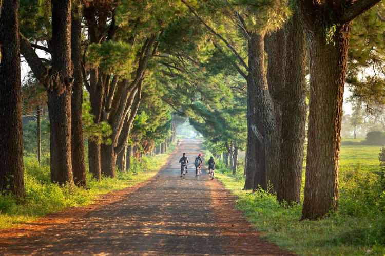 Tour Buôn Mê Thuột - KonTum - Pleiku 5 Ngày 4 Đêm