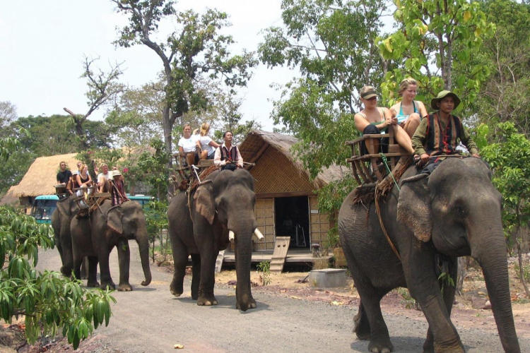 Tour Hà Nội - Đà Lạt - Buôn Mê Thuột 5 Ngày 4 Đêm