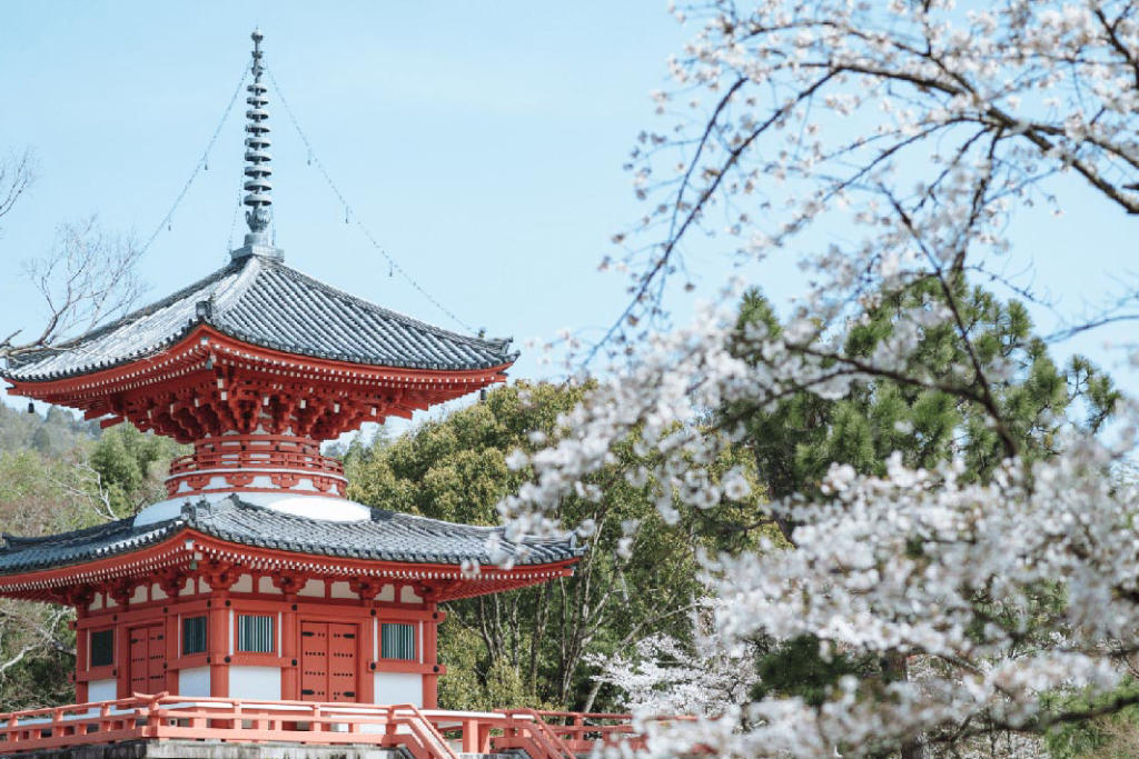 Tour Nhật Bản Hành Trình Vàng Mùa Hoa Anh Đào 6N5Đ