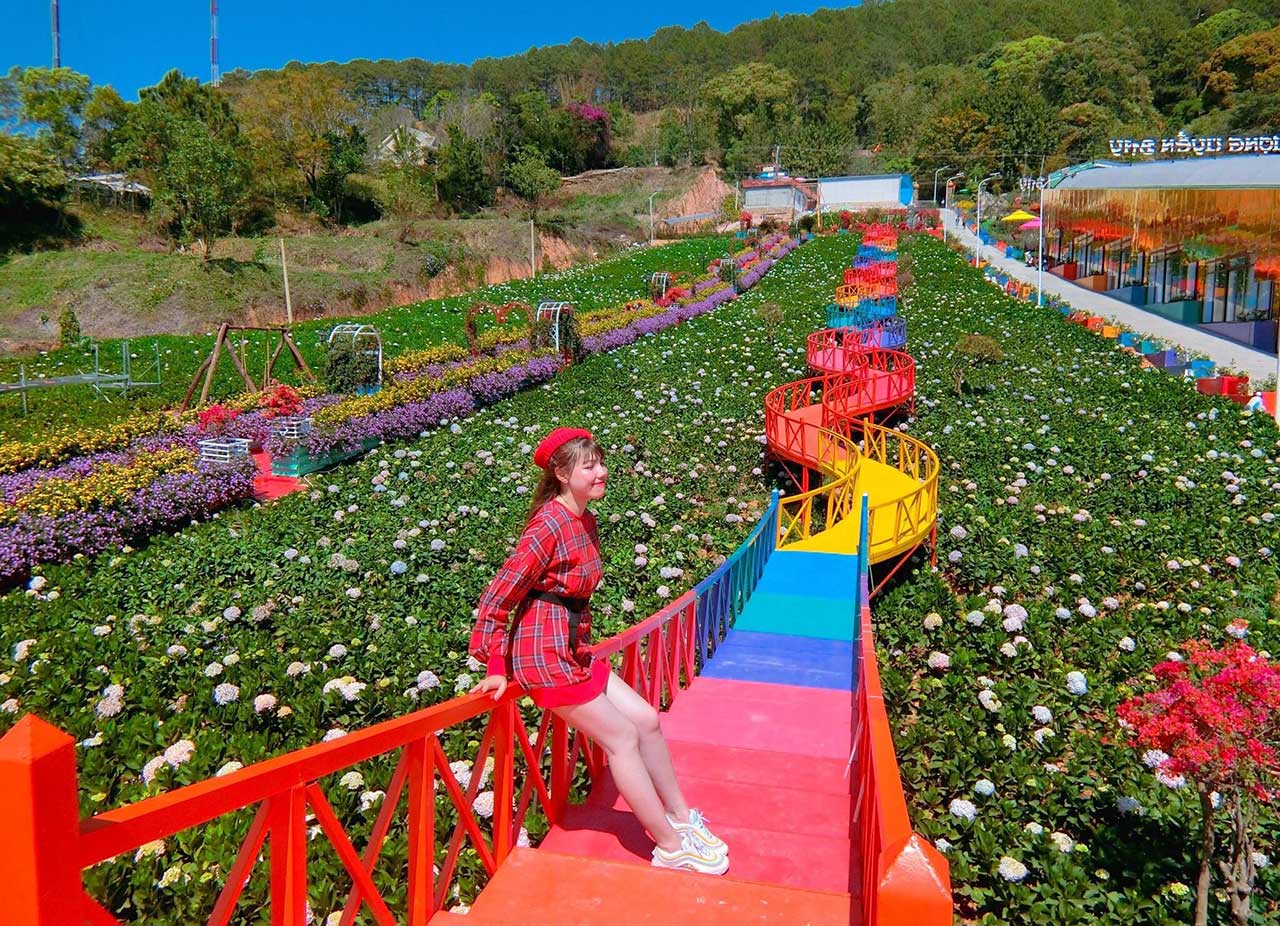 Combo Đà Lạt 3 ngày 2 đêm Vé khứ hồi + Nghỉ khách sạn