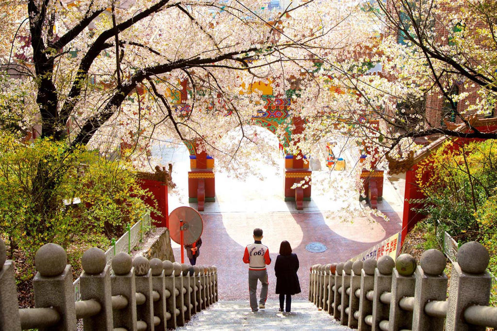 Tour Hàn Quốc: Seoul - Nami - Everland - Hái Táo/ Lê 5 Ngày 4 Đêm