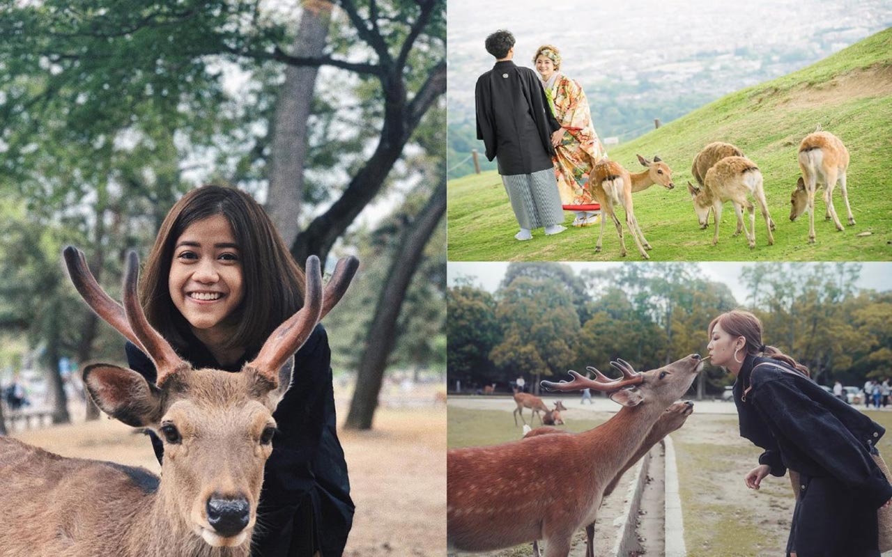 Tour Nhật Bản 6 Ngày 5 Đêm