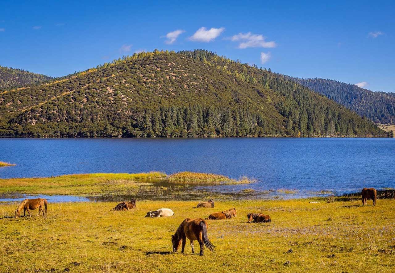 Tour Trung Quốc: Hà Khẩu - Côn Minh - Lệ Giang - Shangrila 6 ngày 5 đêm (Đường Bộ)