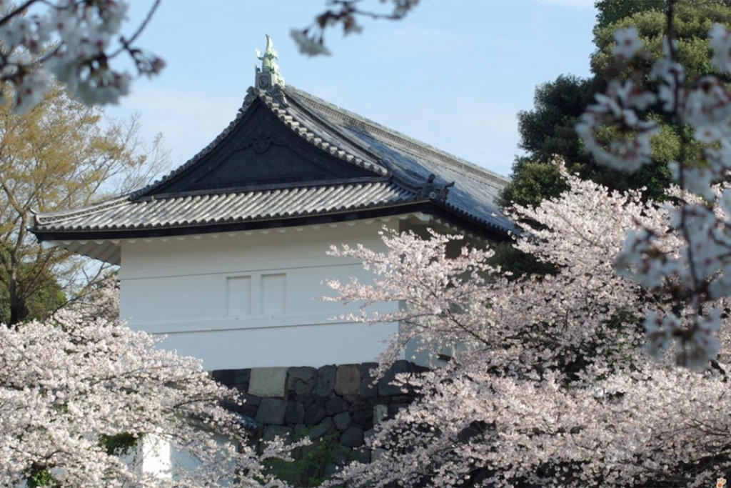 Tour Du Lịch Nhật Bản Đón Năm Mới 2025