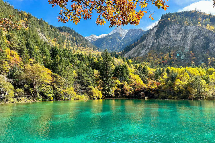 Tour Trùng Khánh - Cửu Trại Câu - Trượt Tuyết Gia Cô Sơn - Vườn Gấu Trúc 6 Ngày 5 Đêm