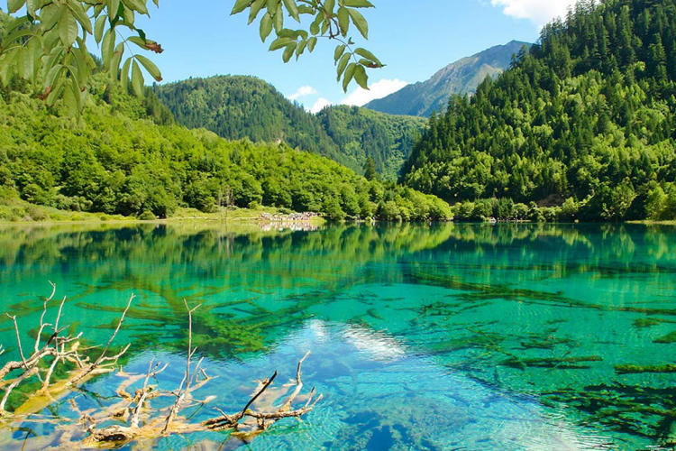 Tour Thành Đô - Cửu Trại Câu - Công Viên Gấu Trúc - Lạc Sơn Đại Phật 6N5Đ