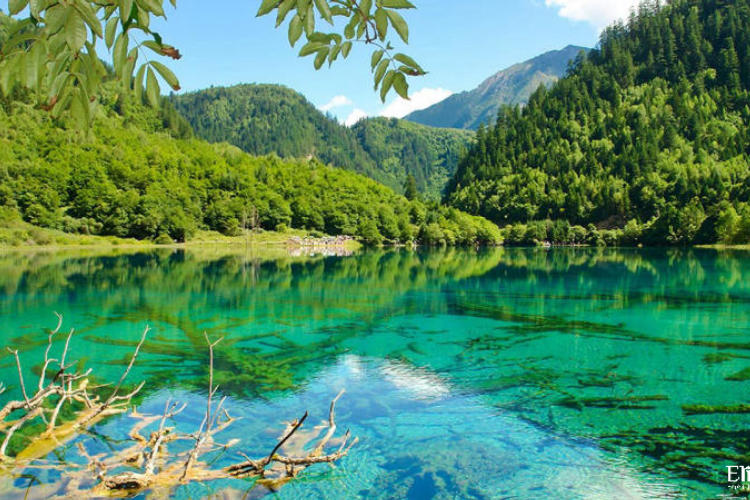 Tour Thành Đô – Cửu Trại Câu – Đô Giang Yển 5 ngày 4 đêm