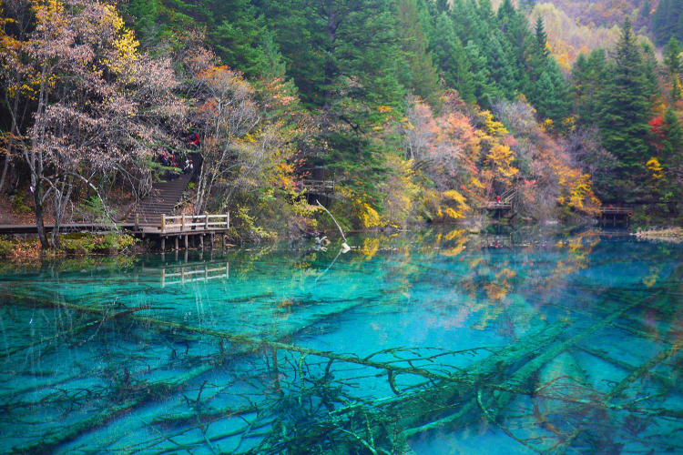 Tour Trùng Khánh - Cửu Trại Câu - Trượt Tuyết Gia Cô Sơn - Vườn Gấu Trúc 6 Ngày 5 Đêm