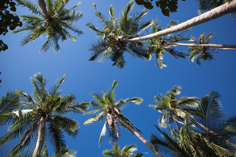 Tour Hà Nội - Phú Quốc 3 Ngày 2 Đêm (Bay Vietnam Airline)