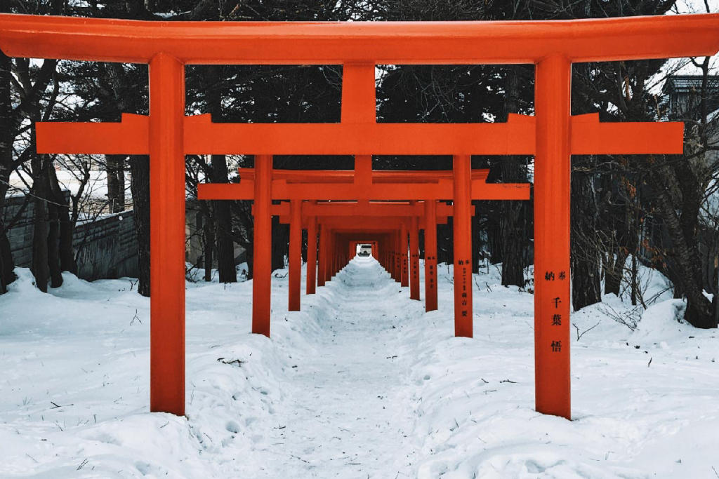 Tour Đón Năm Mới Ở Làng Cổ Tích Shirakawago