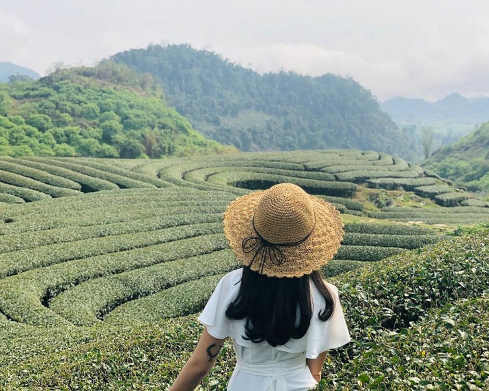 Tour Hà Nội - Mộc Châu - Tà Xùa 2 Ngày 1 Đêm