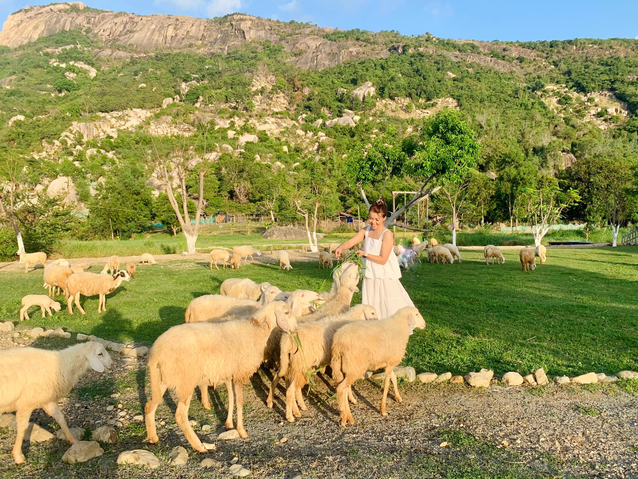 Combo Vinpearl Nha Trang 3N2Đ + Tour ghép trong ngày