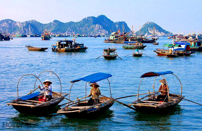 tour du lịch Cát Bà 3 ngày 2 đêm