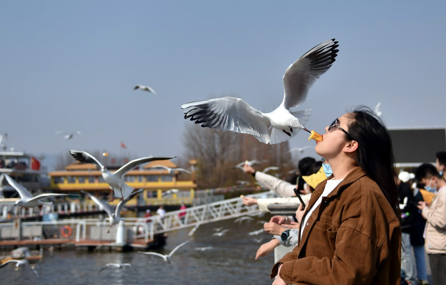 Tour Trung Quốc: Hà Khẩu - Côn Minh - Lệ Giang - Shangrila 6 ngày 5 đêm (Đường Bộ)