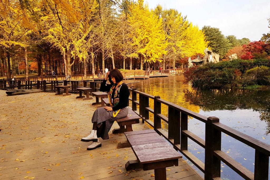 Tour Hàn Quốc: Seoul - Nami - Everland - Hái Táo/ Lê 5 Ngày 4 Đêm