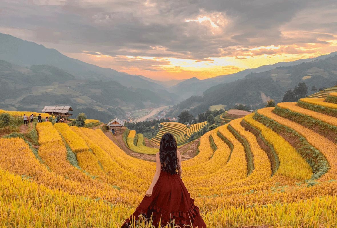 Tour Du Lịch Mù Cang Chải Mùa Lúa Chín 2 Ngày 1 Đêm