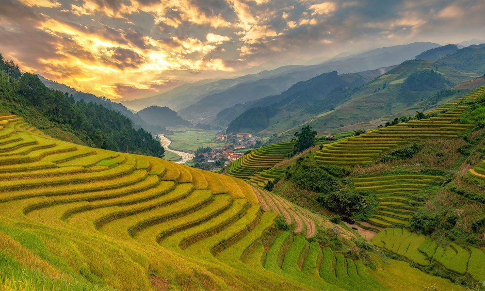 Tour Ngắm Lúa Chín: Sài Gòn - Hà Nội - Mù Cang Chải - Hà Giang 5N5Đ