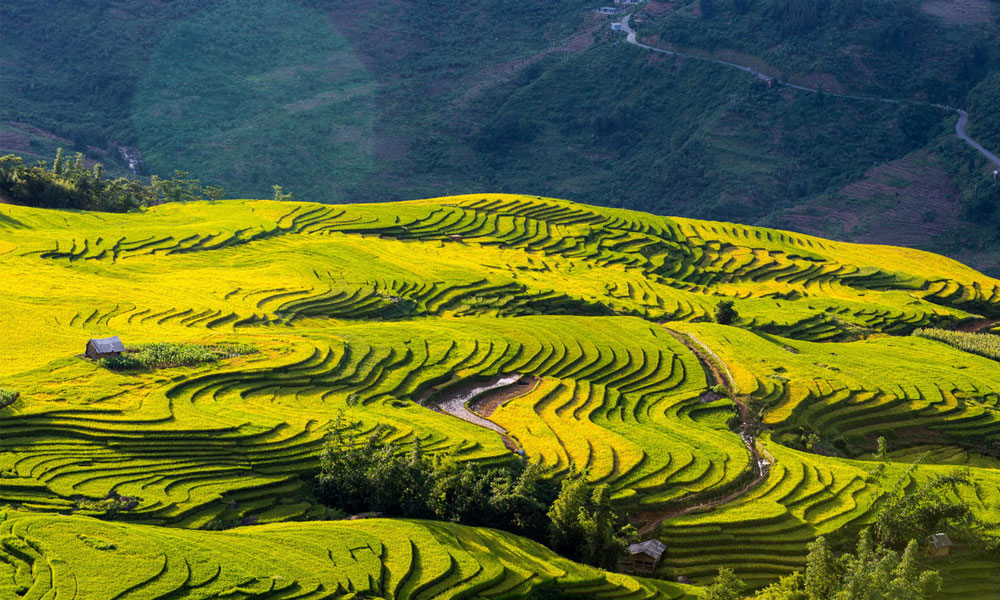 Tour Ngắm Lúa: Sài Gòn - Hà Nội - Mù Cang Chải - Sapa 5 ngày 4 đêm