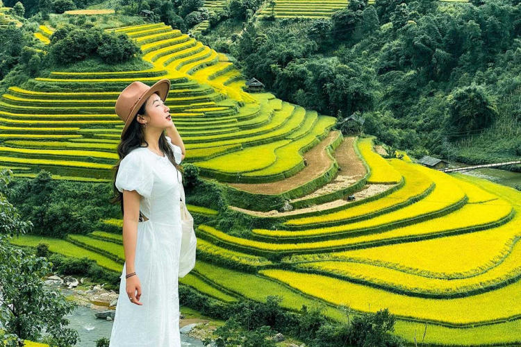 Tour Mù Cang Chải - Ngọc Chiến - Tà Xùa Mùa Lúa Chín 3 Ngày 2 Đêm