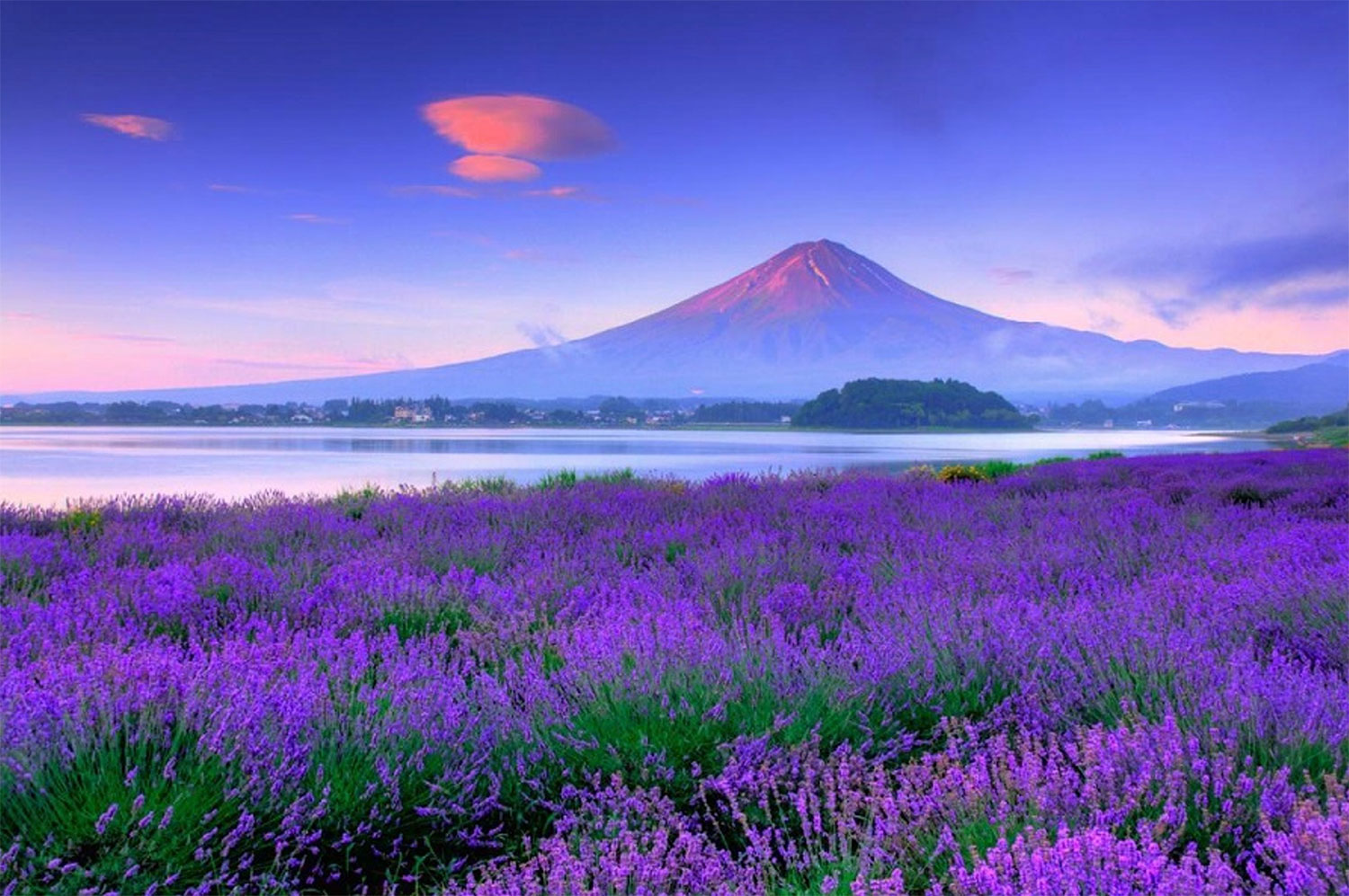 Tour Nhật Bản: Hành Trình Vàng Mùa Hè 6 Ngày 5 Đêm