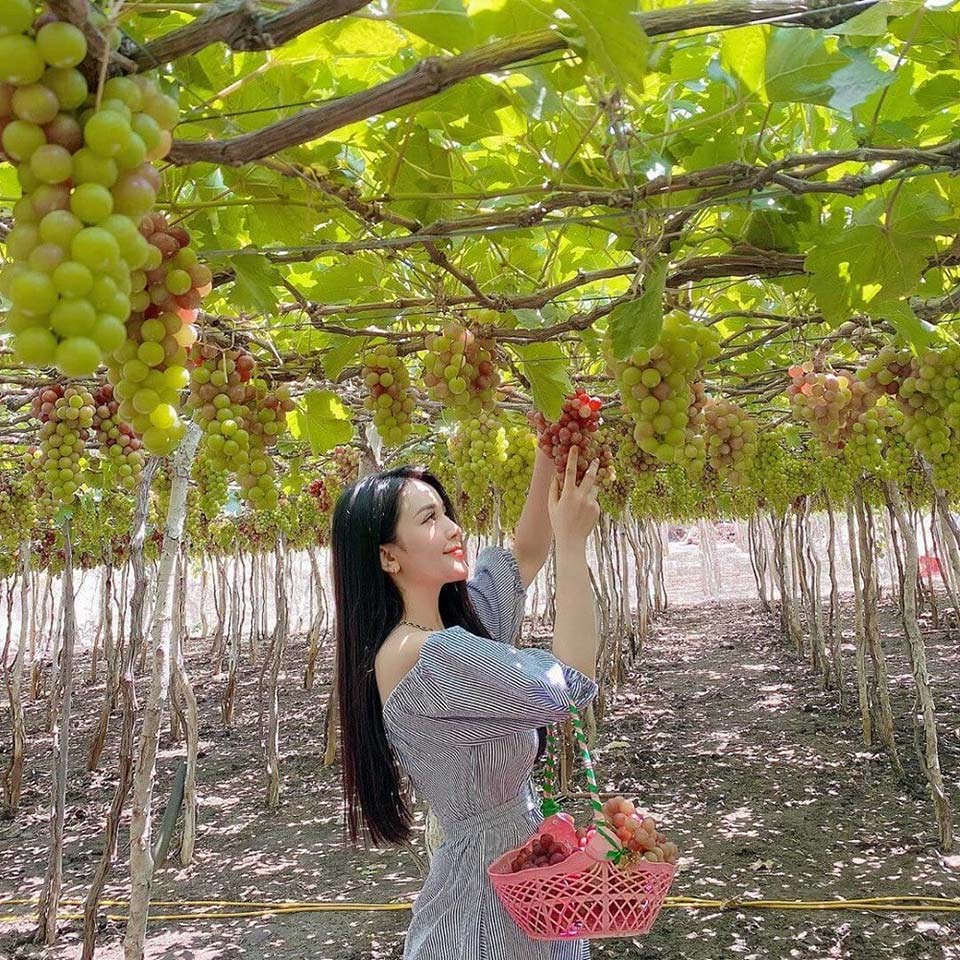 Tour Nha Trang - Mũi Né Trọn Gói 4 Ngày 3 Đêm