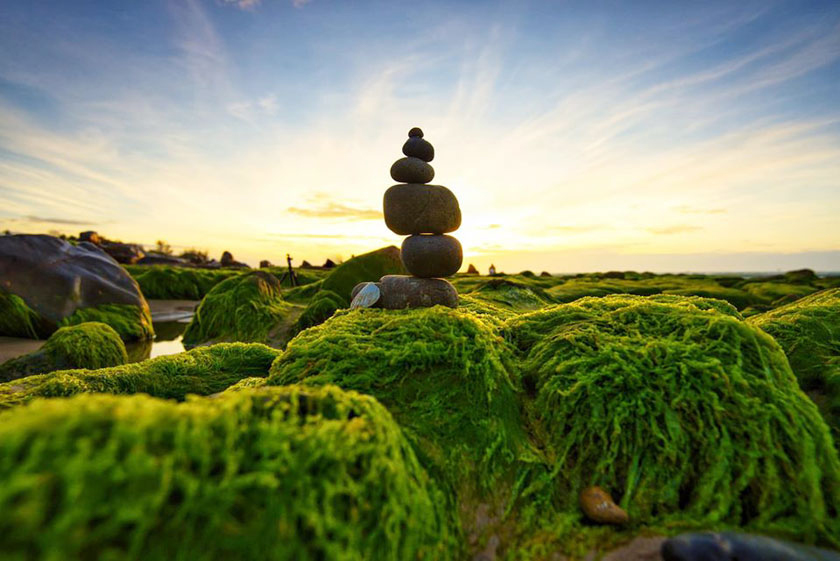 Tour Hà Nội - Ninh Thuận 4 Ngày 3 Đêm