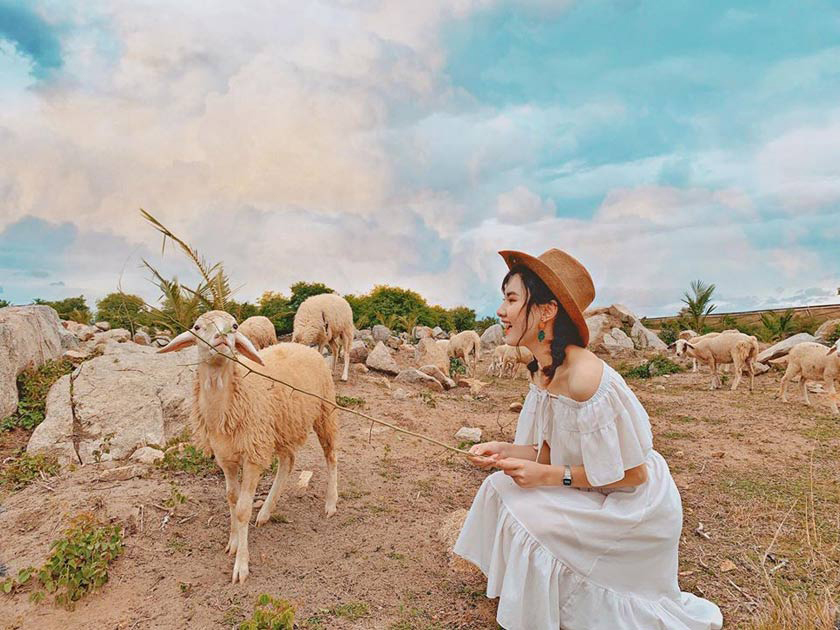 Tour Hà Nội - Ninh Thuận 4 Ngày 3 Đêm