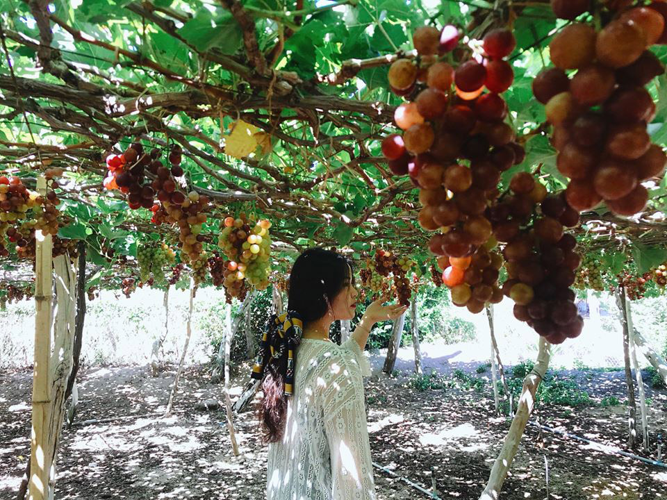 Tour Hà Nội - Ninh Thuận 4 Ngày 3 Đêm