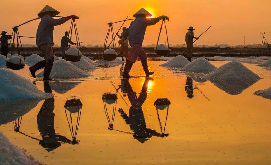 Tour Hà Nội - Ninh Thuận 4 Ngày 3 Đêm