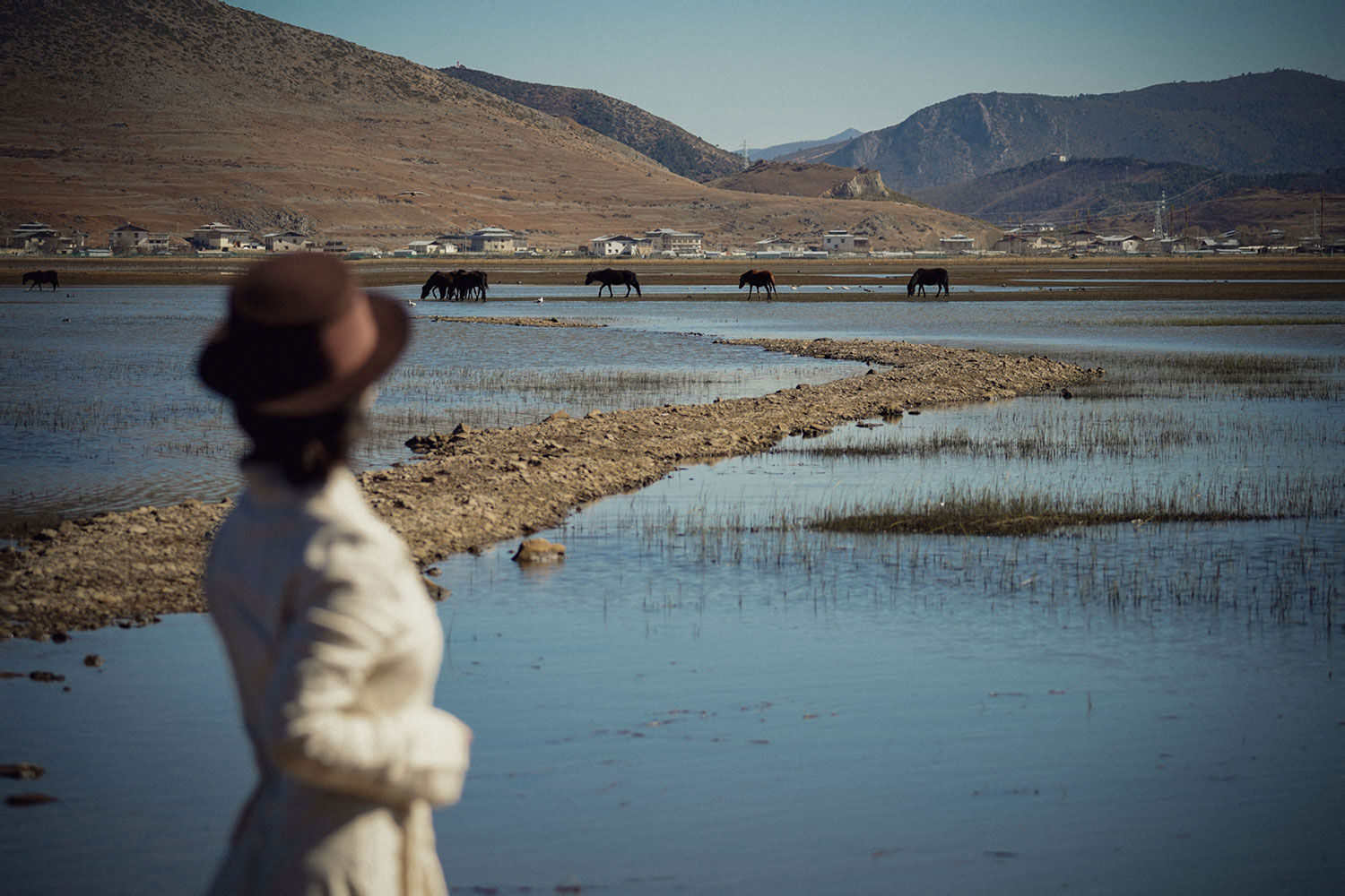 Tour Hà Khẩu - Côn Minh - Đại Lý - Lệ Giang-Shangrila 6N6Đ No Shopping