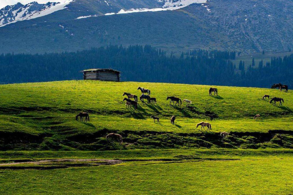 Tour Du Lịch Tân Cương 11 Ngày 10 Đêm (No Shopping)