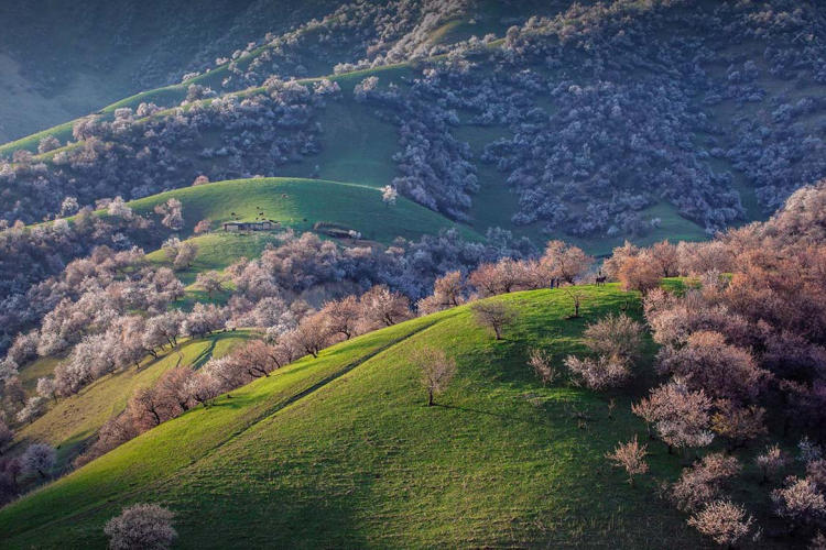 Tour Du Lịch Tân Cương - Con Đường Tơ Lụa 9 Ngày 9 Đêm Từ Sài Gòn