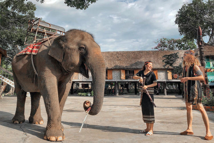 Tour Hà Nội - Đà Lạt - Buôn Mê Thuột 5 Ngày 4 Đêm