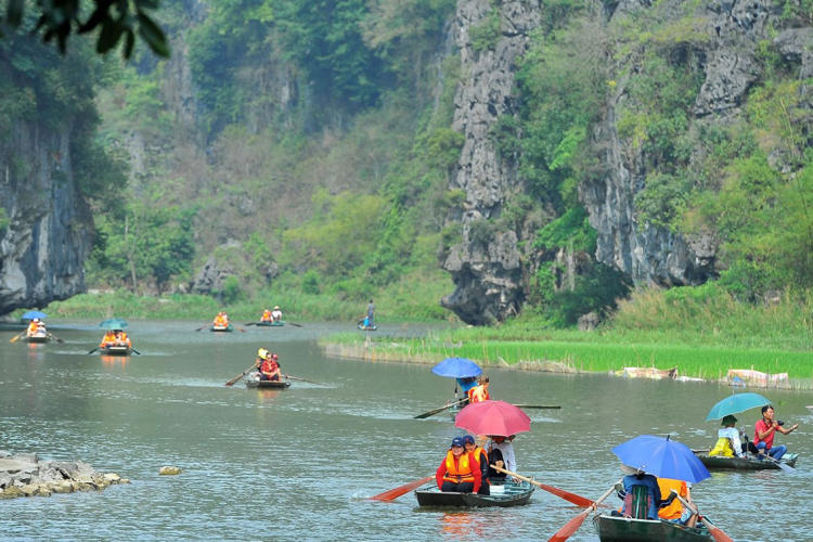 Tour Hoa Lư - Tam Cốc 1 Ngày