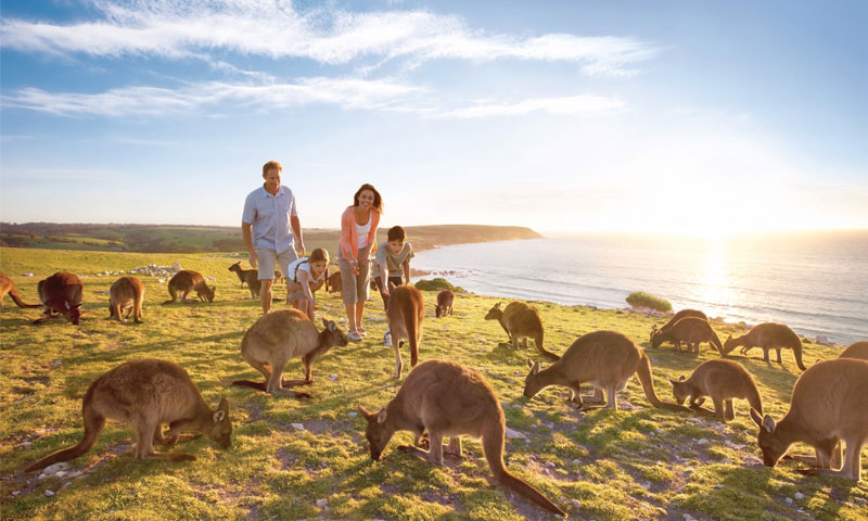 Tour Du Lịch Úc 6 Ngày 5 Đêm (Bay Bamboo Airway)