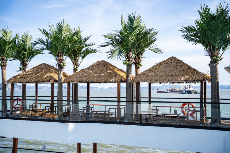 Du thuyền Dolphin Halong Cruise