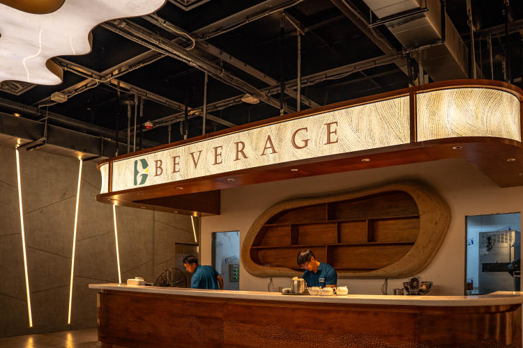 Du thuyền Dolphin Halong Cruise