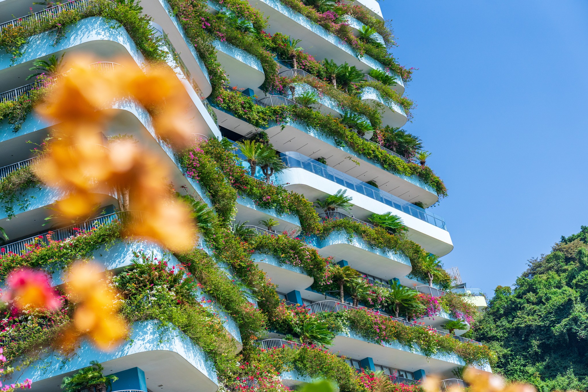 Combo Flamingo Cát Bà Resort 2 ngày 1 đêm