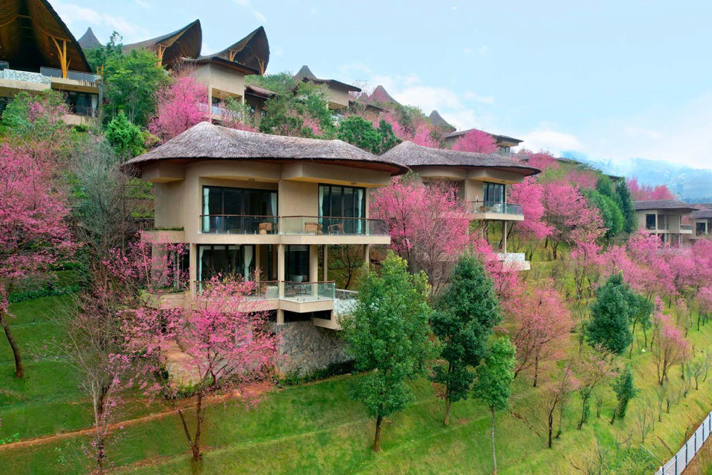 Combo Garrya Mù Cang Chải + Xe đưa đón 2N1Đ