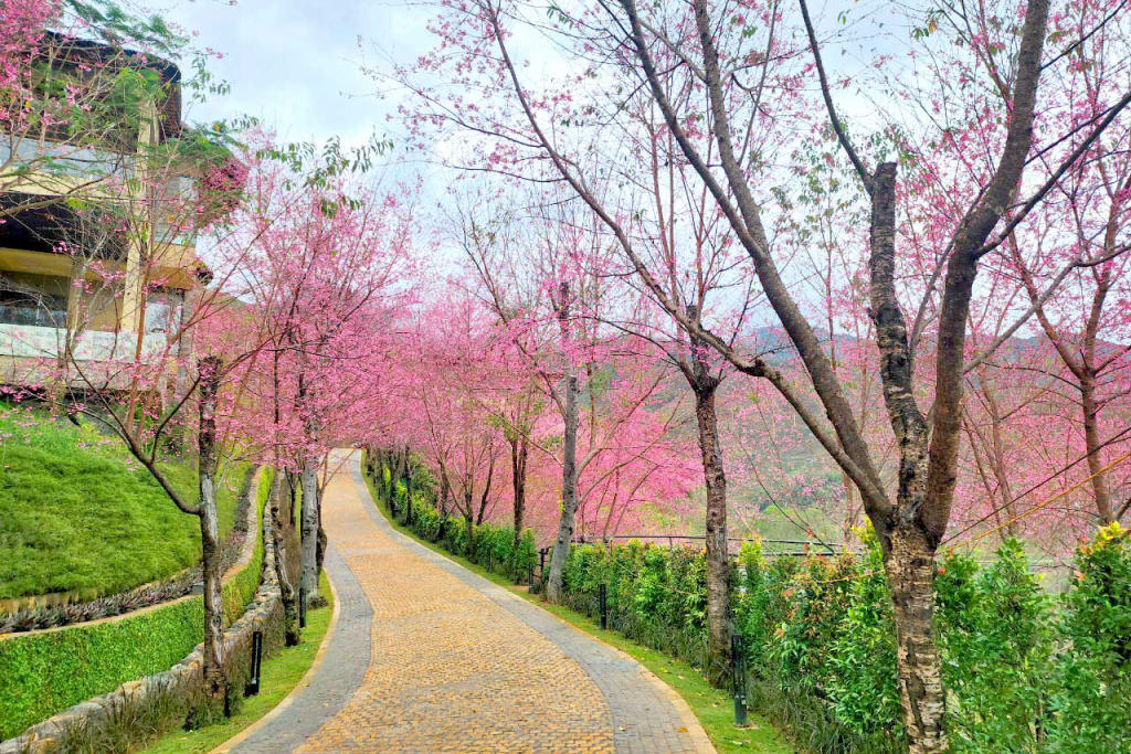 Garrya Mù Cang Chải Resort