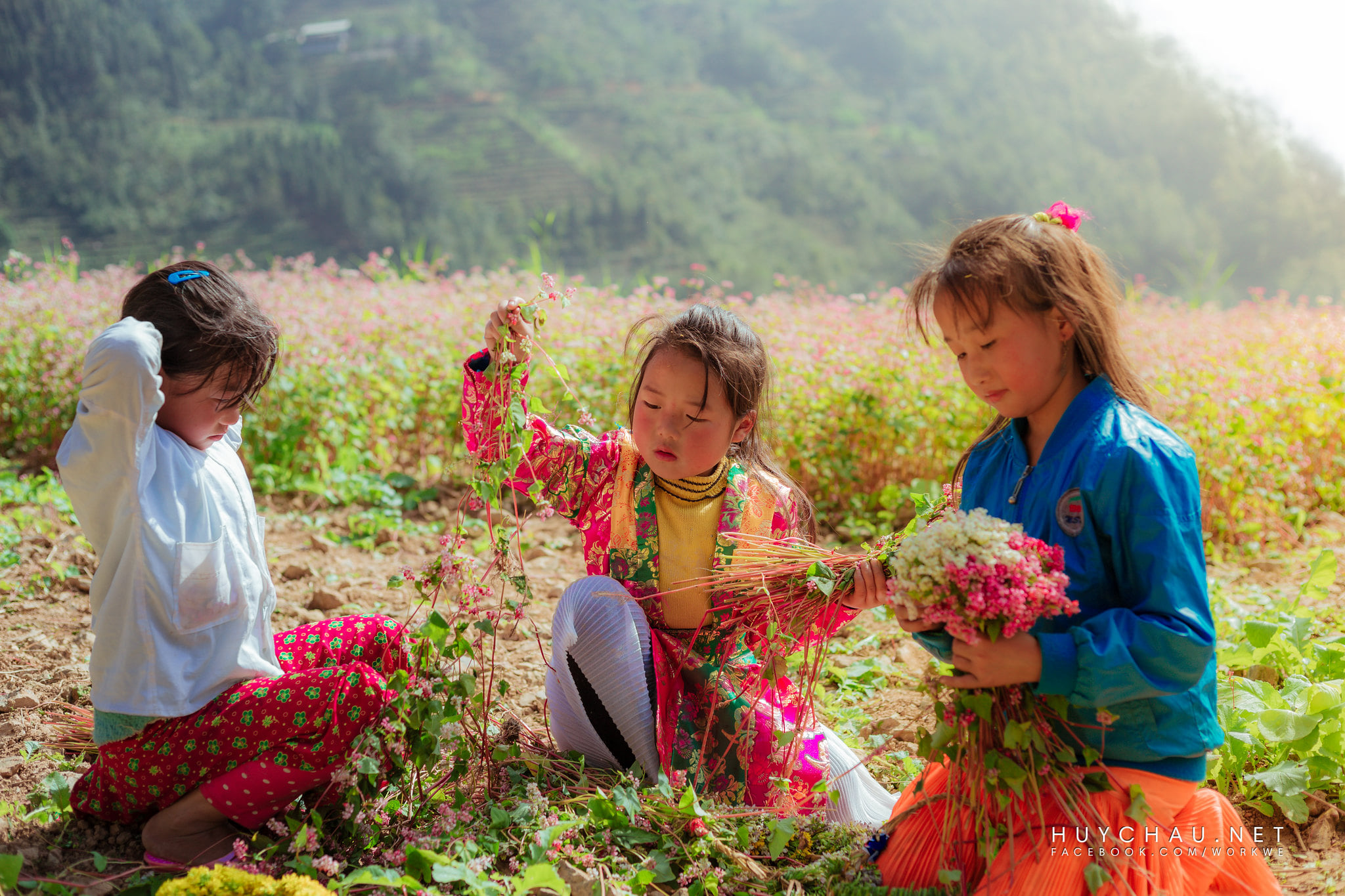 Tour Du Lịch Hà Giang 3 Ngày 2 Đêm