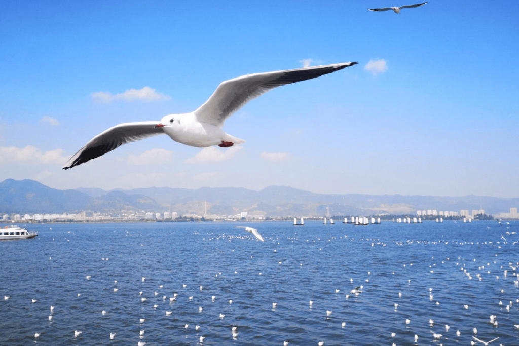 Tour Hà Khẩu - Côn Minh - Núi Tuyết Kiệu Tử Sơn 4 Ngày 4 Đêm