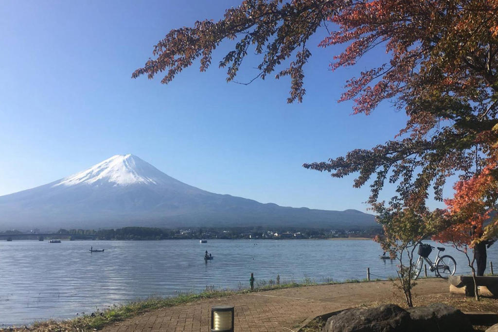 Tour Nhật Bản Mùa Thu: Cung Đường Làng Cổ Shirakawago