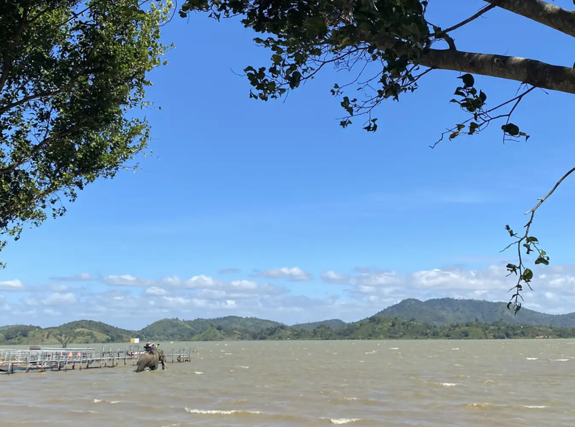 Tour Du Lịch Hà Nội - Đà Lạt - Buôn Mê Thuật 4 Ngày 3 Đêm