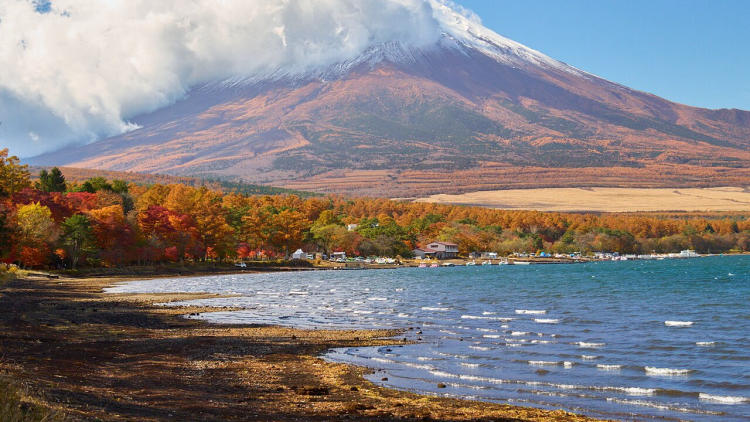 Tour Nhật Bản Mùa Thu 7N6Đ: Nikko – Tokyo – Núi Phú Sĩ – Kamakura – Enoshima – Yokohama