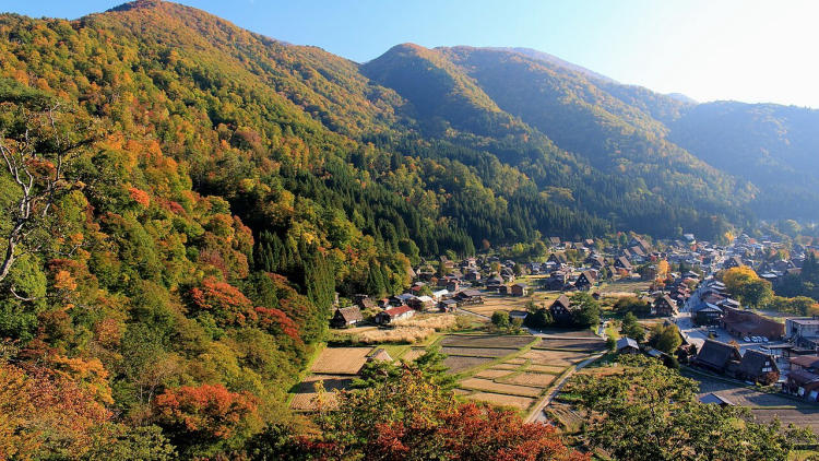Tour Nhật Bản Mùa Thu 7N6Đ Từ Hà Nội: Kamikochi – Shirakawago – Phú Sĩ – Tokyo